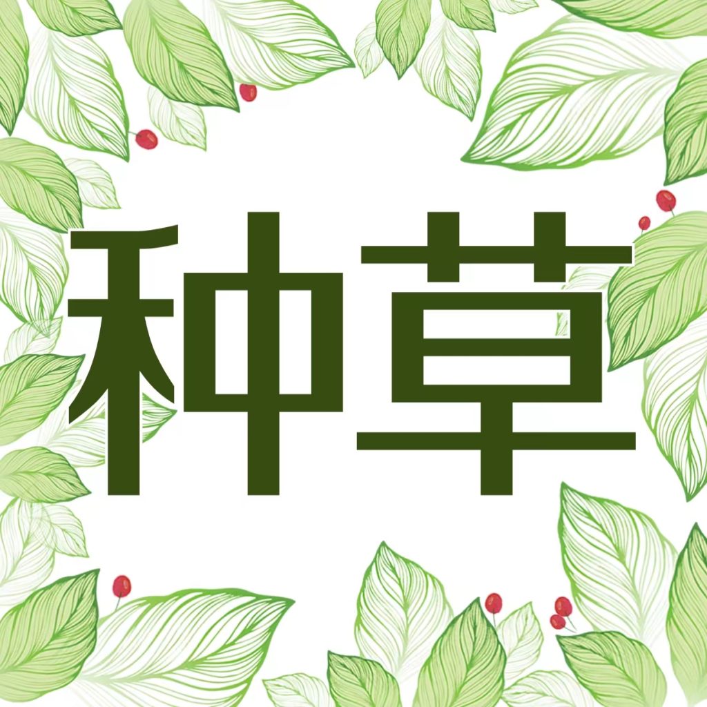 苹果iOS下载抖音Tik tok国际服及使用方法